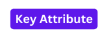 Key Attribute