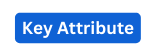 Key Attribute