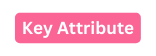 Key Attribute